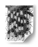 Impresión De Abeja Y Panal - Fab Funky | Cuadro decorativo de Canvas Lab