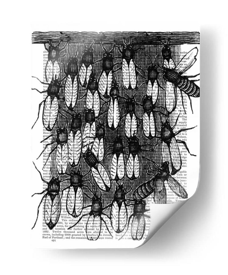 Impresión De Abeja Y Panal - Fab Funky | Cuadro decorativo de Canvas Lab