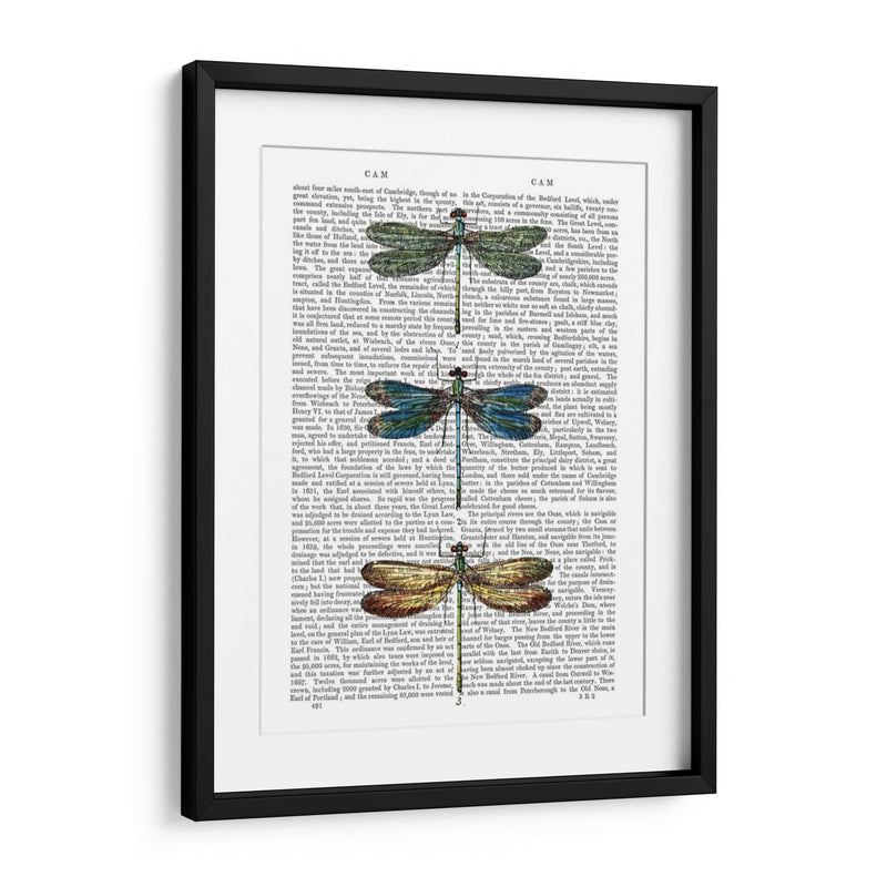 Libélulas Imprimir 1 - Fab Funky | Cuadro decorativo de Canvas Lab