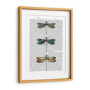 Libélulas Imprimir 1 - Fab Funky | Cuadro decorativo de Canvas Lab
