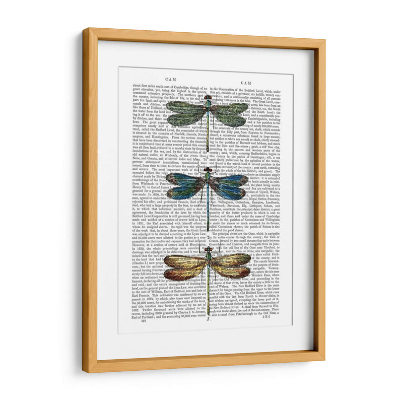 Libélulas Imprimir 1 - Fab Funky | Cuadro decorativo de Canvas Lab