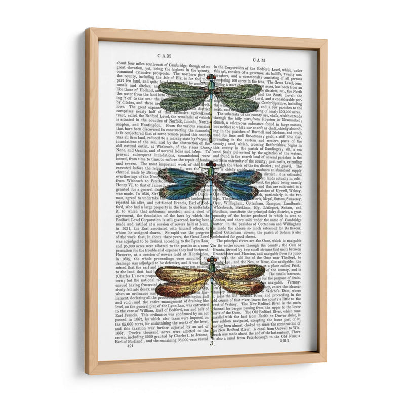 Libélulas Imprimir 1 - Fab Funky | Cuadro decorativo de Canvas Lab