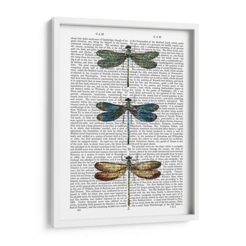 Libélulas Imprimir 1 - Fab Funky | Cuadro decorativo de Canvas Lab