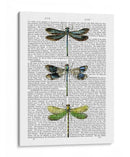 Libélulas Imprimir 2 - Fab Funky | Cuadro decorativo de Canvas Lab