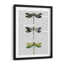 Libélulas Imprimir 2 - Fab Funky | Cuadro decorativo de Canvas Lab