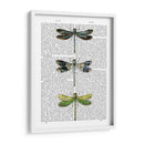 Libélulas Imprimir 2 - Fab Funky | Cuadro decorativo de Canvas Lab