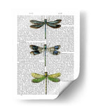 Libélulas Imprimir 2 - Fab Funky | Cuadro decorativo de Canvas Lab
