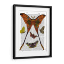 Placa De Polilla 1 - Fab Funky | Cuadro decorativo de Canvas Lab