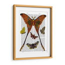Placa De Polilla 1 - Fab Funky | Cuadro decorativo de Canvas Lab