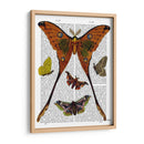 Placa De Polilla 1 - Fab Funky | Cuadro decorativo de Canvas Lab
