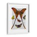 Placa De Polilla 1 - Fab Funky | Cuadro decorativo de Canvas Lab