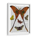 Placa De Polilla 1 - Fab Funky | Cuadro decorativo de Canvas Lab