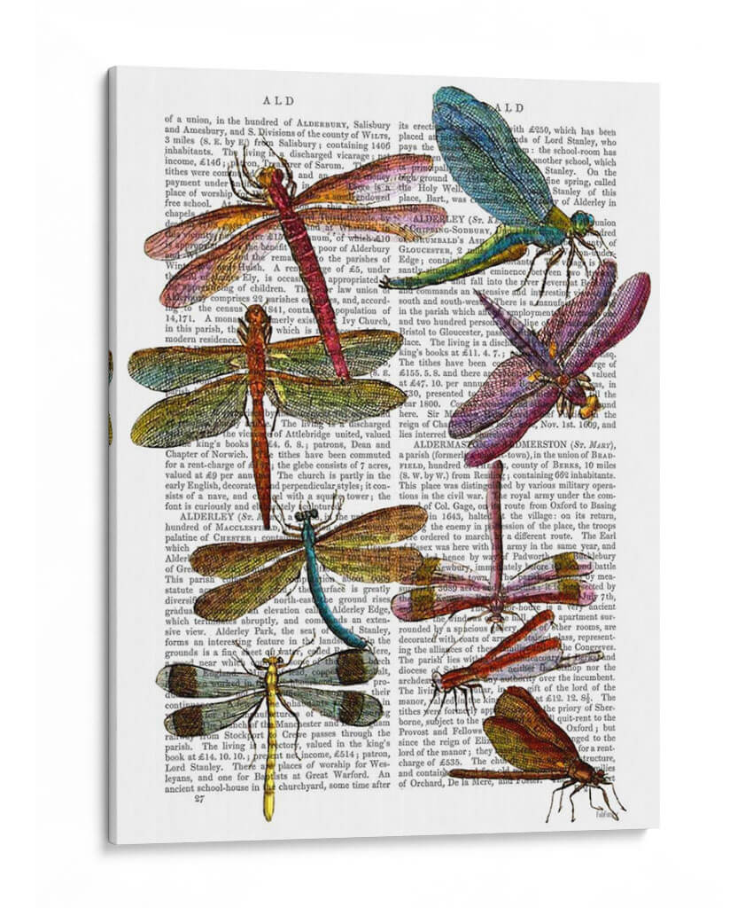 Libélula Impresión 3 - Fab Funky | Cuadro decorativo de Canvas Lab