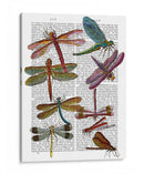 Libélula Impresión 3 - Fab Funky | Cuadro decorativo de Canvas Lab