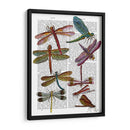 Libélula Impresión 3 - Fab Funky | Cuadro decorativo de Canvas Lab