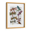 Libélula Impresión 3 - Fab Funky | Cuadro decorativo de Canvas Lab