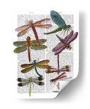 Libélula Impresión 3 - Fab Funky | Cuadro decorativo de Canvas Lab