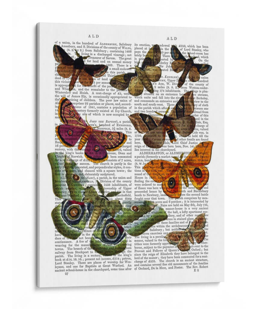 Placa De Polilla 2 - Fab Funky | Cuadro decorativo de Canvas Lab