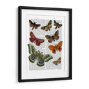 Placa De Polilla 2 - Fab Funky | Cuadro decorativo de Canvas Lab
