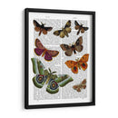 Placa De Polilla 2 - Fab Funky | Cuadro decorativo de Canvas Lab