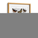 Placa De Polilla 2 - Fab Funky | Cuadro decorativo de Canvas Lab