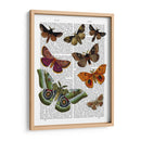 Placa De Polilla 2 - Fab Funky | Cuadro decorativo de Canvas Lab