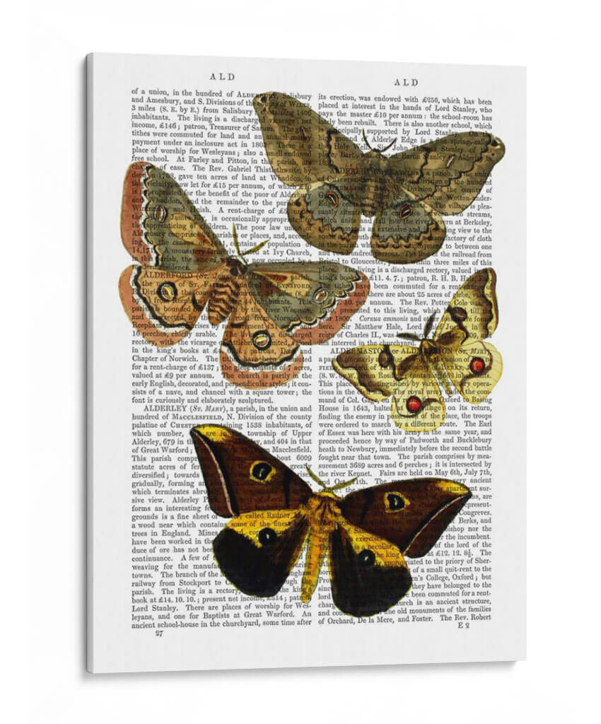 Placa De Polilla 3 - Fab Funky | Cuadro decorativo de Canvas Lab