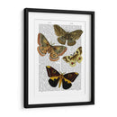 Placa De Polilla 3 - Fab Funky | Cuadro decorativo de Canvas Lab