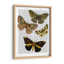Placa De Polilla 3 - Fab Funky | Cuadro decorativo de Canvas Lab