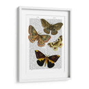Placa De Polilla 3 - Fab Funky | Cuadro decorativo de Canvas Lab