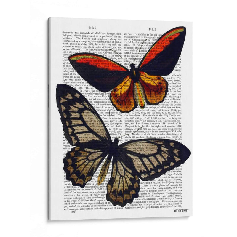 Mariposas 2 - Fab Funky | Cuadro decorativo de Canvas Lab