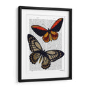 Mariposas 2 - Fab Funky | Cuadro decorativo de Canvas Lab