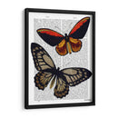 Mariposas 2 - Fab Funky | Cuadro decorativo de Canvas Lab