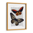 Mariposas 2 - Fab Funky | Cuadro decorativo de Canvas Lab