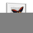 Mariposas 2 - Fab Funky | Cuadro decorativo de Canvas Lab