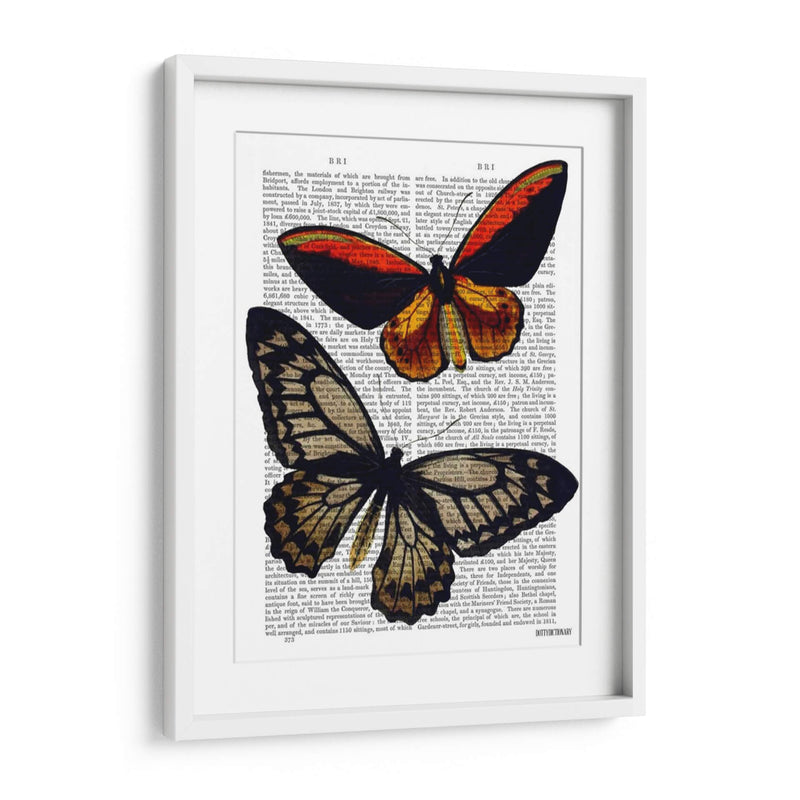 Mariposas 2 - Fab Funky | Cuadro decorativo de Canvas Lab