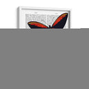 Mariposas 2 - Fab Funky | Cuadro decorativo de Canvas Lab