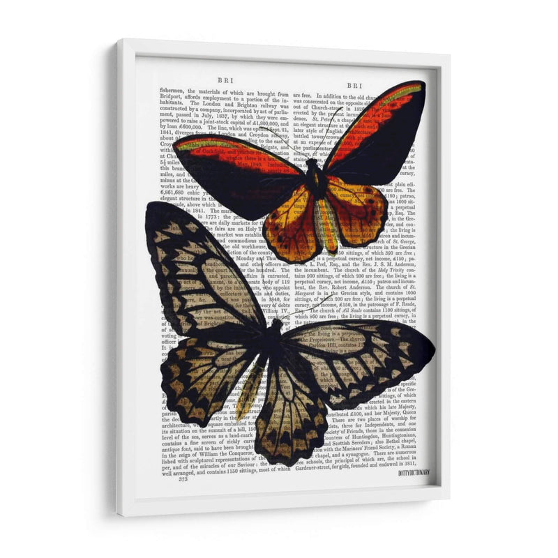 Mariposas 2 - Fab Funky | Cuadro decorativo de Canvas Lab