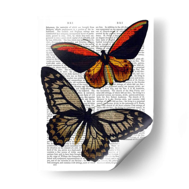 Mariposas 2 - Fab Funky | Cuadro decorativo de Canvas Lab