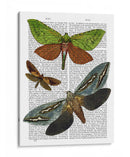 Mariposas 3 - Fab Funky | Cuadro decorativo de Canvas Lab