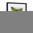 Mariposas 3 - Fab Funky | Cuadro decorativo de Canvas Lab