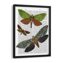 Mariposas 3 - Fab Funky | Cuadro decorativo de Canvas Lab