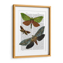 Mariposas 3 - Fab Funky | Cuadro decorativo de Canvas Lab