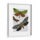 Mariposas 3 - Fab Funky | Cuadro decorativo de Canvas Lab