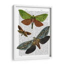 Mariposas 3 - Fab Funky | Cuadro decorativo de Canvas Lab