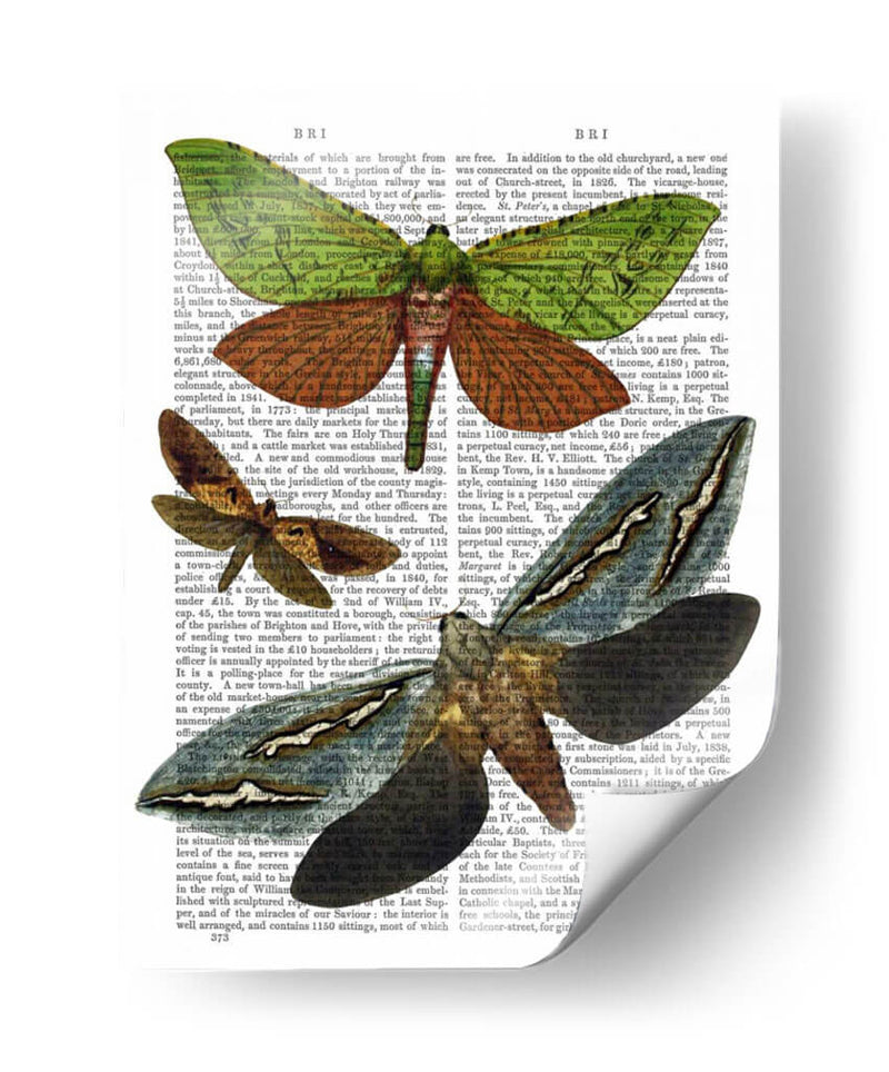 Mariposas 3 - Fab Funky | Cuadro decorativo de Canvas Lab