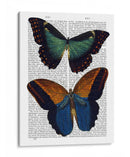 Mariposas 4 - Fab Funky | Cuadro decorativo de Canvas Lab