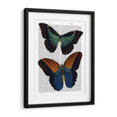 Mariposas 4 - Fab Funky | Cuadro decorativo de Canvas Lab