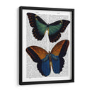Mariposas 4 - Fab Funky | Cuadro decorativo de Canvas Lab