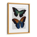 Mariposas 4 - Fab Funky | Cuadro decorativo de Canvas Lab